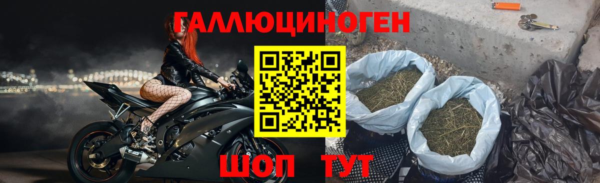 Галлюциногенные грибы мухоморы  Псилоцибиновые грибы MAGIC MUSHROOMS  Вход с VPN  Бердск 