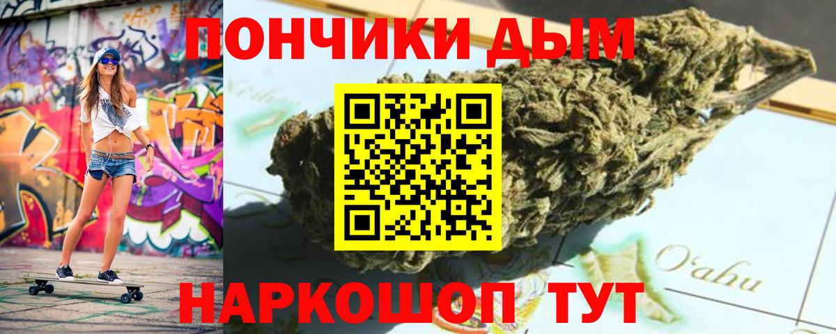 Бошки Шишки гибрид Бердск